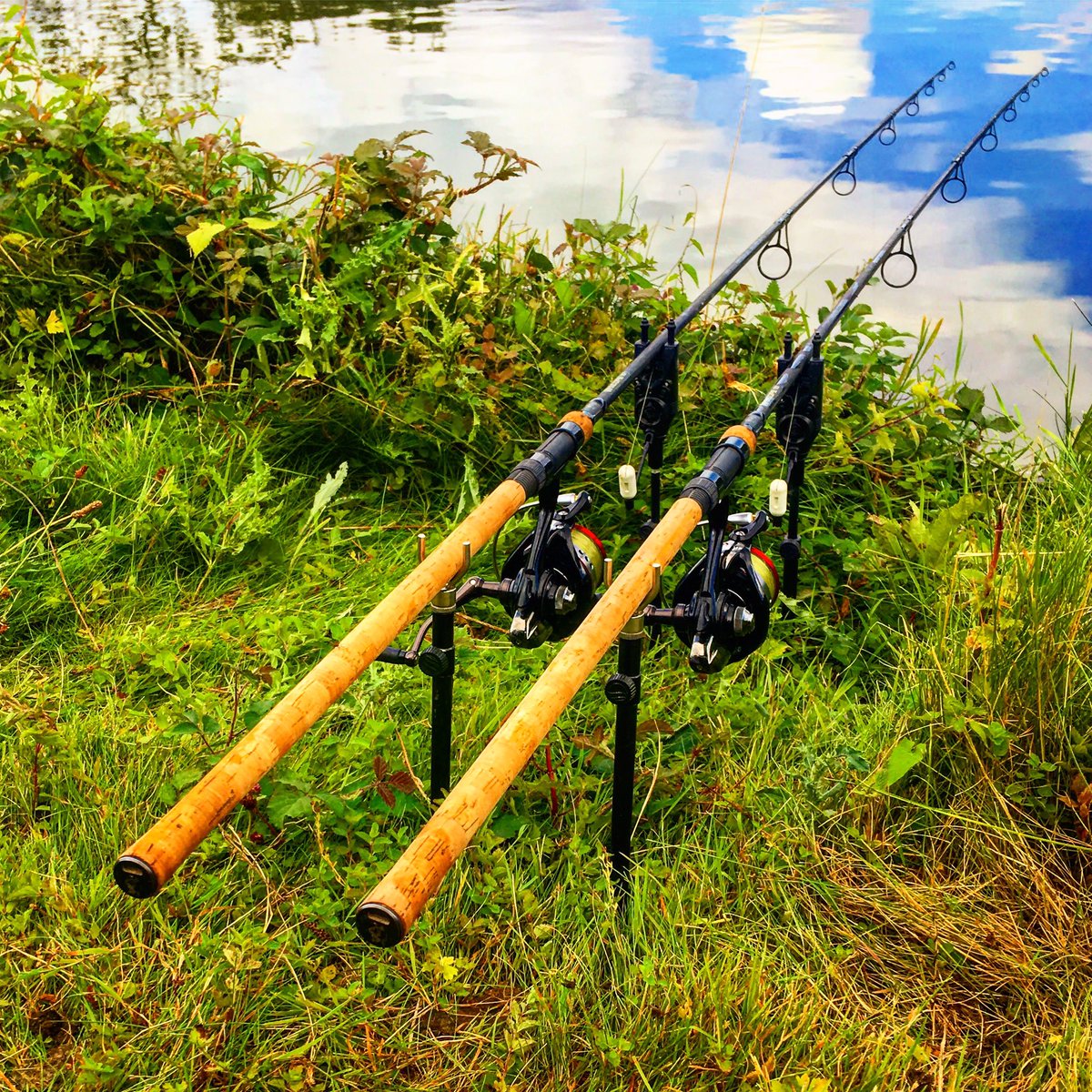 carpmarathon's tweet photo. Good afternoon #ShortSessionSunday https://t.co/HENDM3IDUZ
