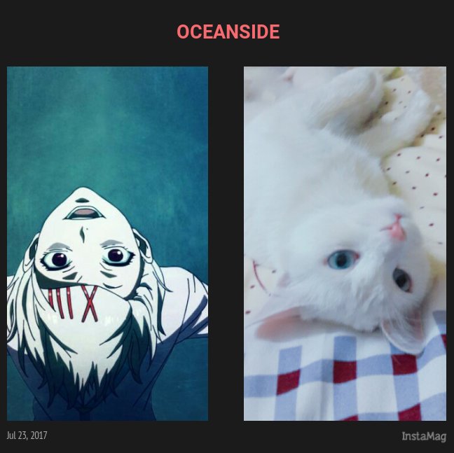 ZubaydahYassir's tweet photo. #CatsOfTwitter #anime #TokyoGhoul #juuzouSuzaya #ablino #NEON #animals #pets #iloveyou #love #neko #White #girlsrule #cats #sexy #Galaxy https://t.co/M6dHMZQWQX