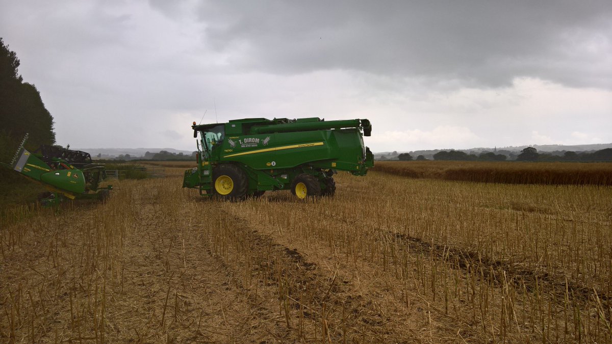 jptrickett's tweet photo. Resumed combining #osr at 3.30pm, rained off at 4.00pm. That's so #harvest17 #WetWeekend #downtools #findapub https://t.co/JHWzy5g5MA