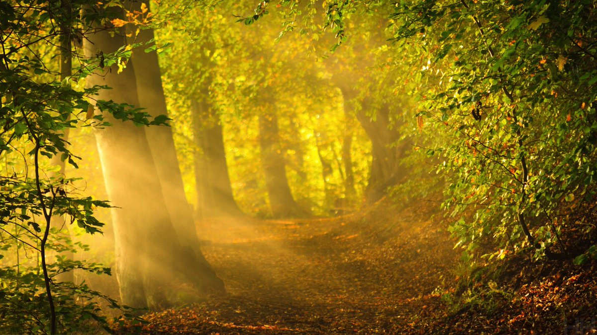 Good afternoon lovelies…No path will always be just right…It’s how we CHOOSE to adjust to the adversity…BLESSINGS.