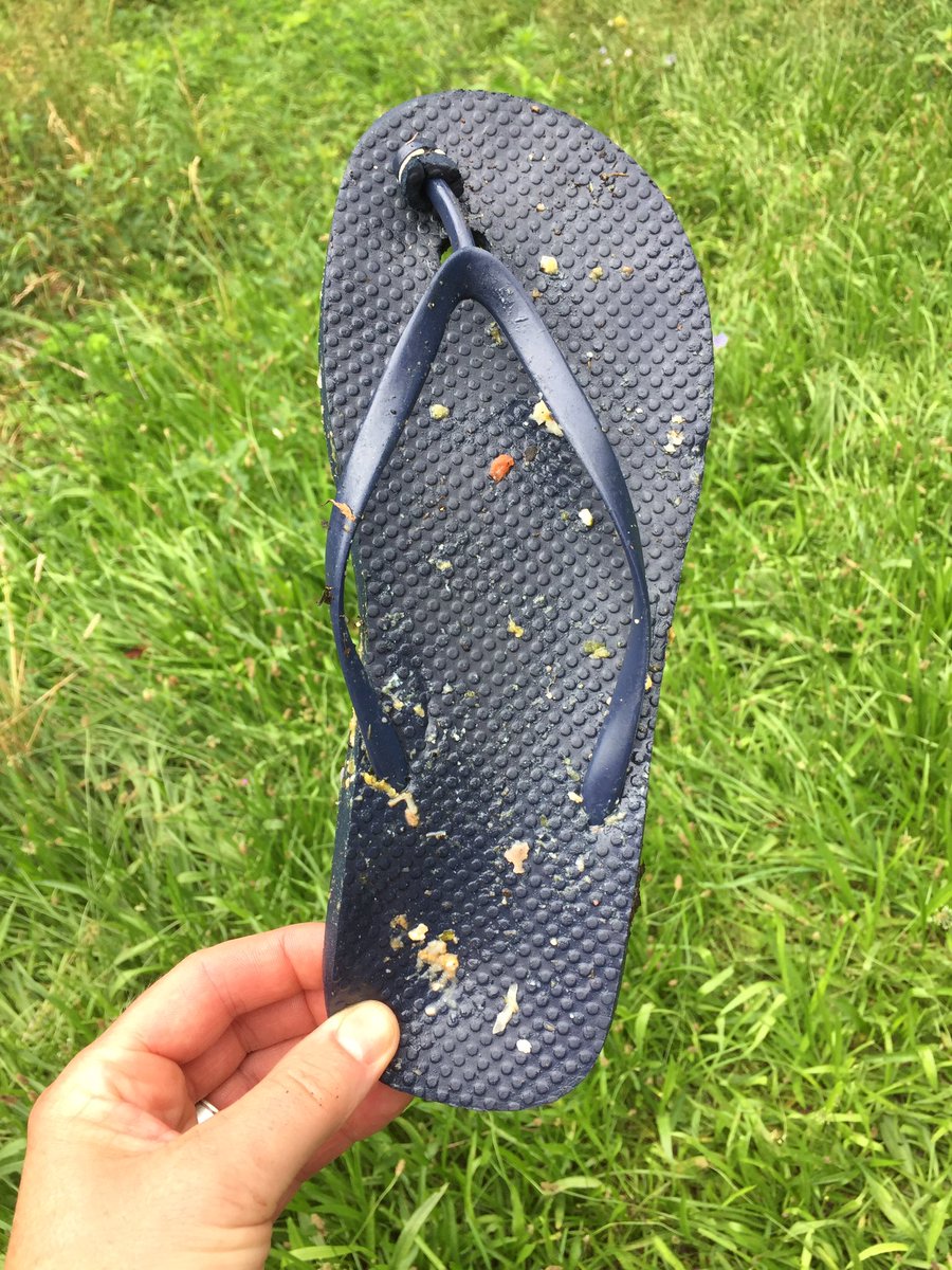 compostwithme's tweet photo. #notcompost What's the most unlikely thing you've found in your compost containers? #compost #compostlove https://t.co/iALjPWKLl5