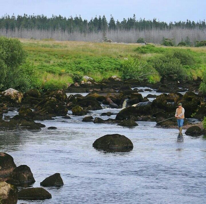 Good day for fishing is not it ? #Ireland #LovingIreland
 lovingireland.ie 
Credits: @silkeschi