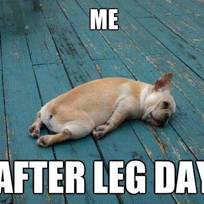 fit1fitnessbar's tweet photo. Need I say more? #fit1fitness #barre #stayfit #stayactive #barreclasses #redmondridgebarre #staymotivated #staypositive #redmondridge https://t.co/iJgwAUK21t