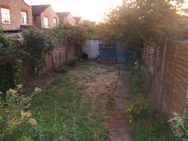 Andy Sheppard tweet media