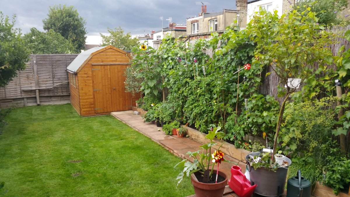 Andy Sheppard tweet media