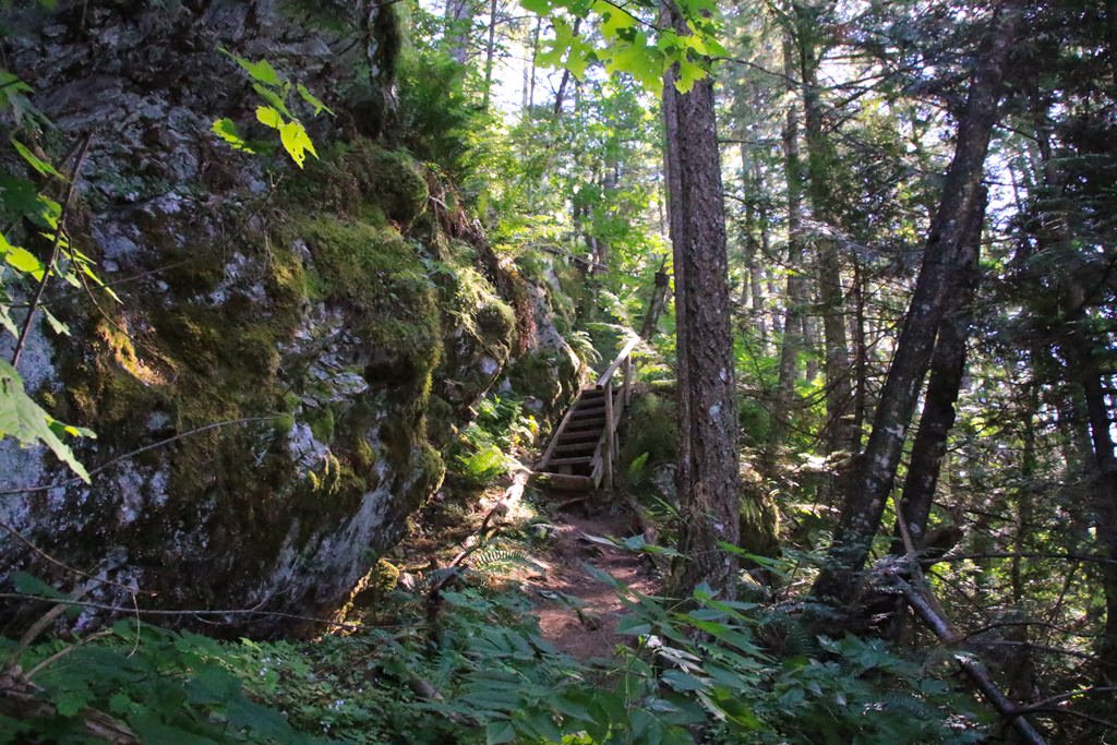 NEW Trail Added: Check out the "Grouse Grind" of Hope on the Hope Lookout Trail: ow.ly/DX5S30drA4B #VancouverTrails #EmbraceHopeBC