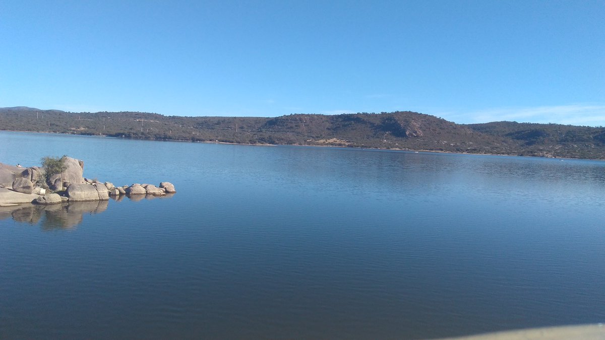 asking4rol's tweet image. 