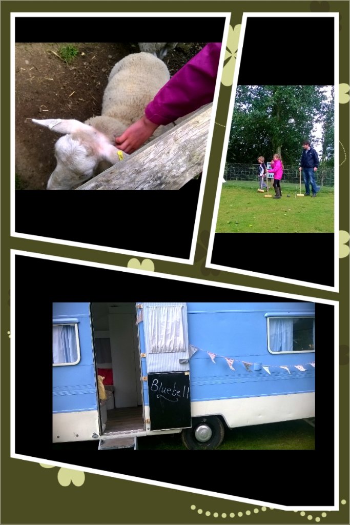 MilneNatureblog's tweet photo. Lovely wee stop off @BalungieFarm to pick up strawberries, have wee ice cream &amp; meet the animals 😊 https://t.co/TSzXmc2Y3f
