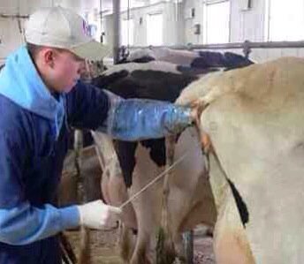 #vegetarian? #GoVegan.