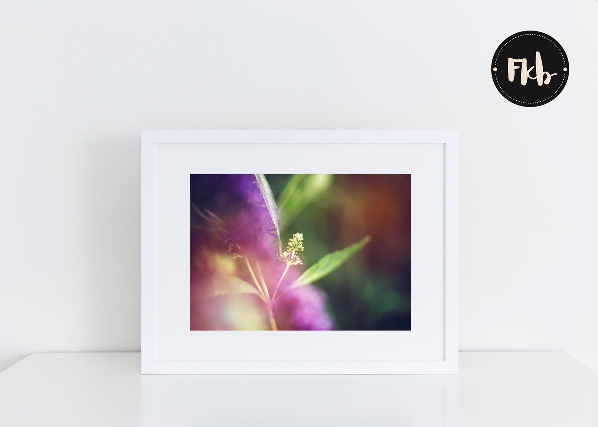 FKB_Photo's tweet photo. New fine art abstract print going into the catalogue for the online print shop! One of my faves. #etsy #fineart #floral #art #gliceeprint https://t.co/mo0TahAnpQ