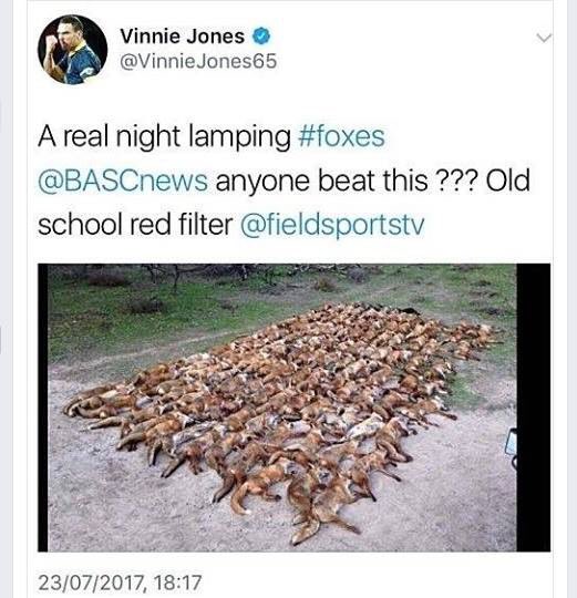 emeliobedelio's tweet photo. Vinnie Jones, hard man of film and football thinks it hard to kill foxes and enjoys shooting. Now has deleted this tweet but too late! https://t.co/XjIbwRWpJY