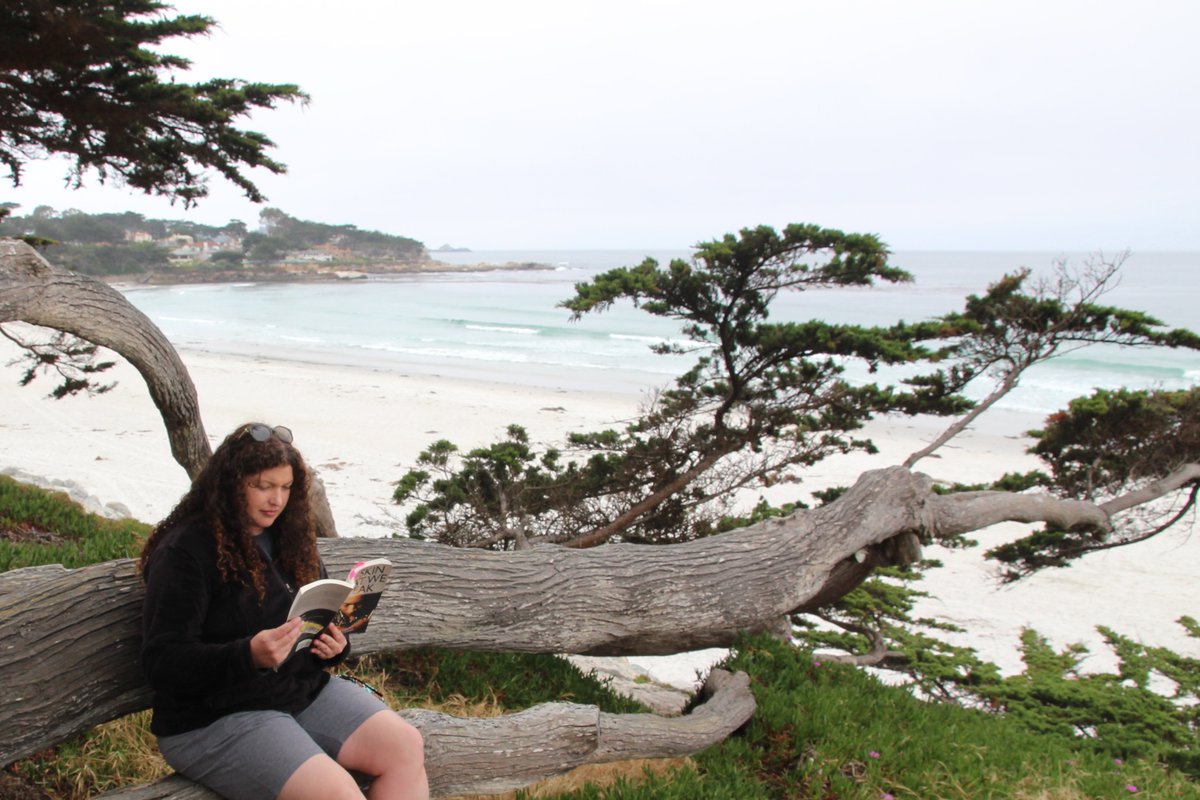 HeckYesMichelle's tweet photo. Reading in a tree...(Carmel-by-the-Sea) #beebereads https://t.co/ObonQ4wC6O