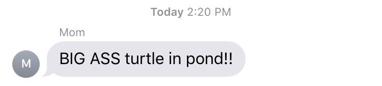 wmhamer's tweet photo. Things my parents text me from the backyard pt. 2 https://t.co/ZDRmXQxpzM