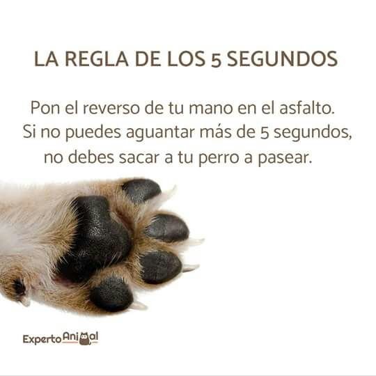 ProyectoFauri's tweet photo. https://t.co/Gu76kwE7vZ