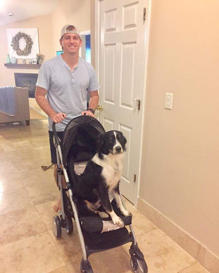 TheDogLiberator's tweet photo. #Bodhi being a good baby model while we practice with our new stroller ~ Melissa #tdl #thedogliberator #walkadog #floridadog #centralflorid… https://t.co/UcRlU6pD6p