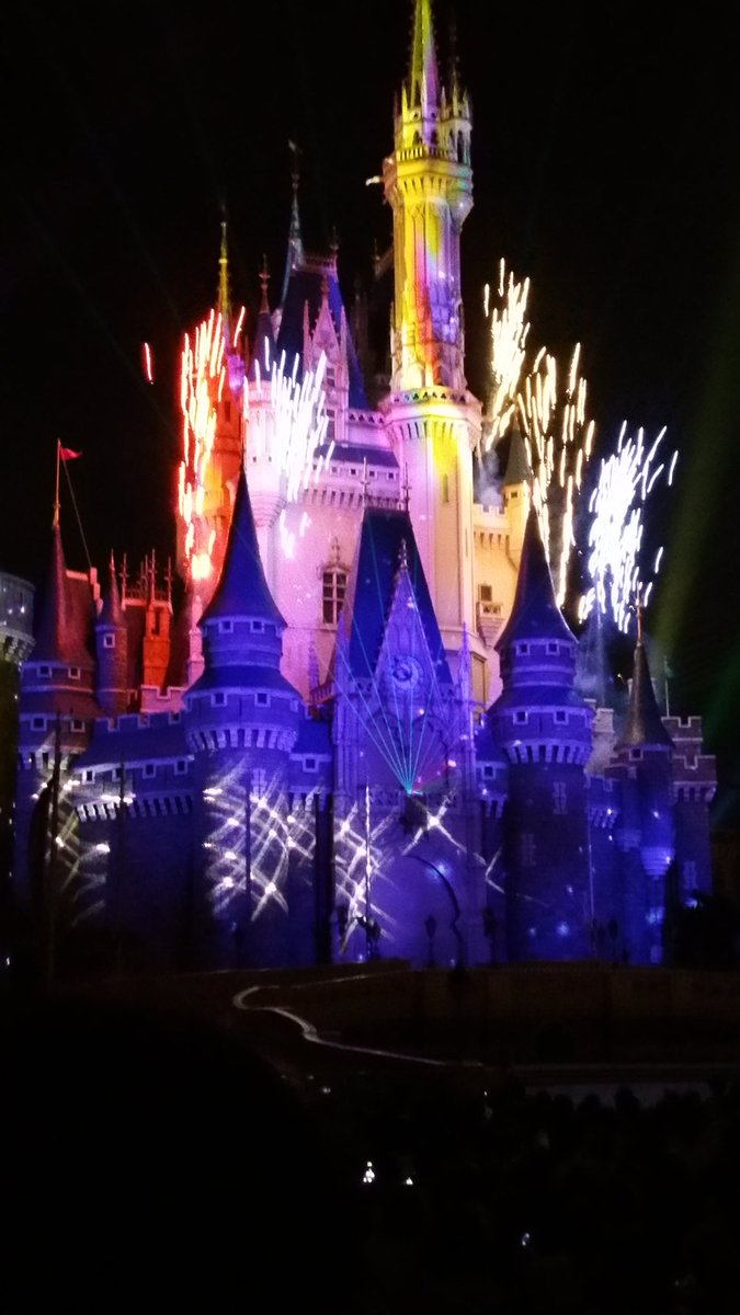 ジャスティンビーバーは弟とディズニーランドを満喫 ディズニーランド シーのおすすめと攻略テクニックガイド