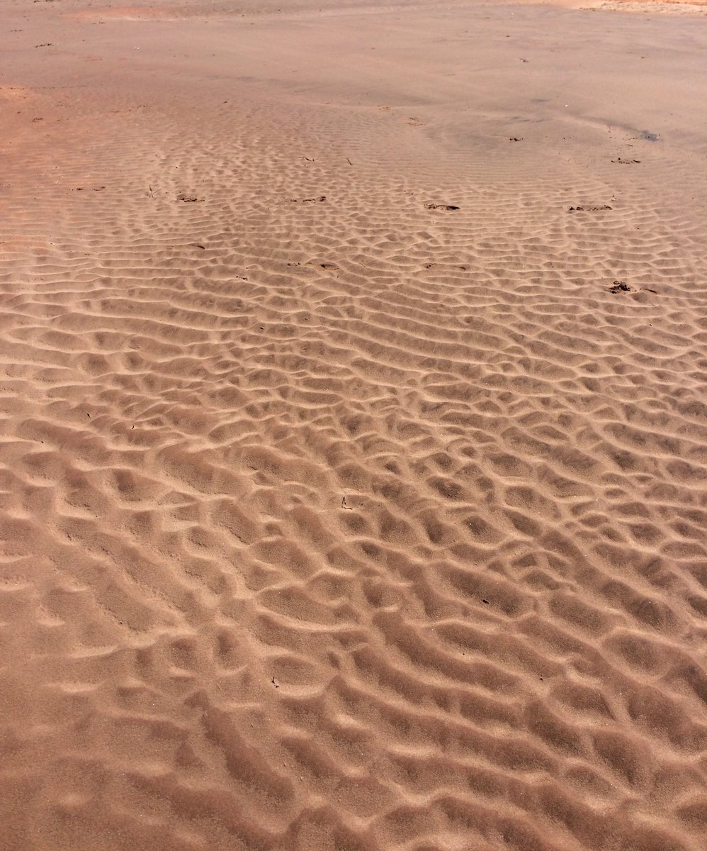 eastsizing's tweet photo. Fresh #baby tracks in the sand after a storm #PEStorm #summer17 #eastsizing #year2 #beach #pei https://t.co/rv516AZFGv