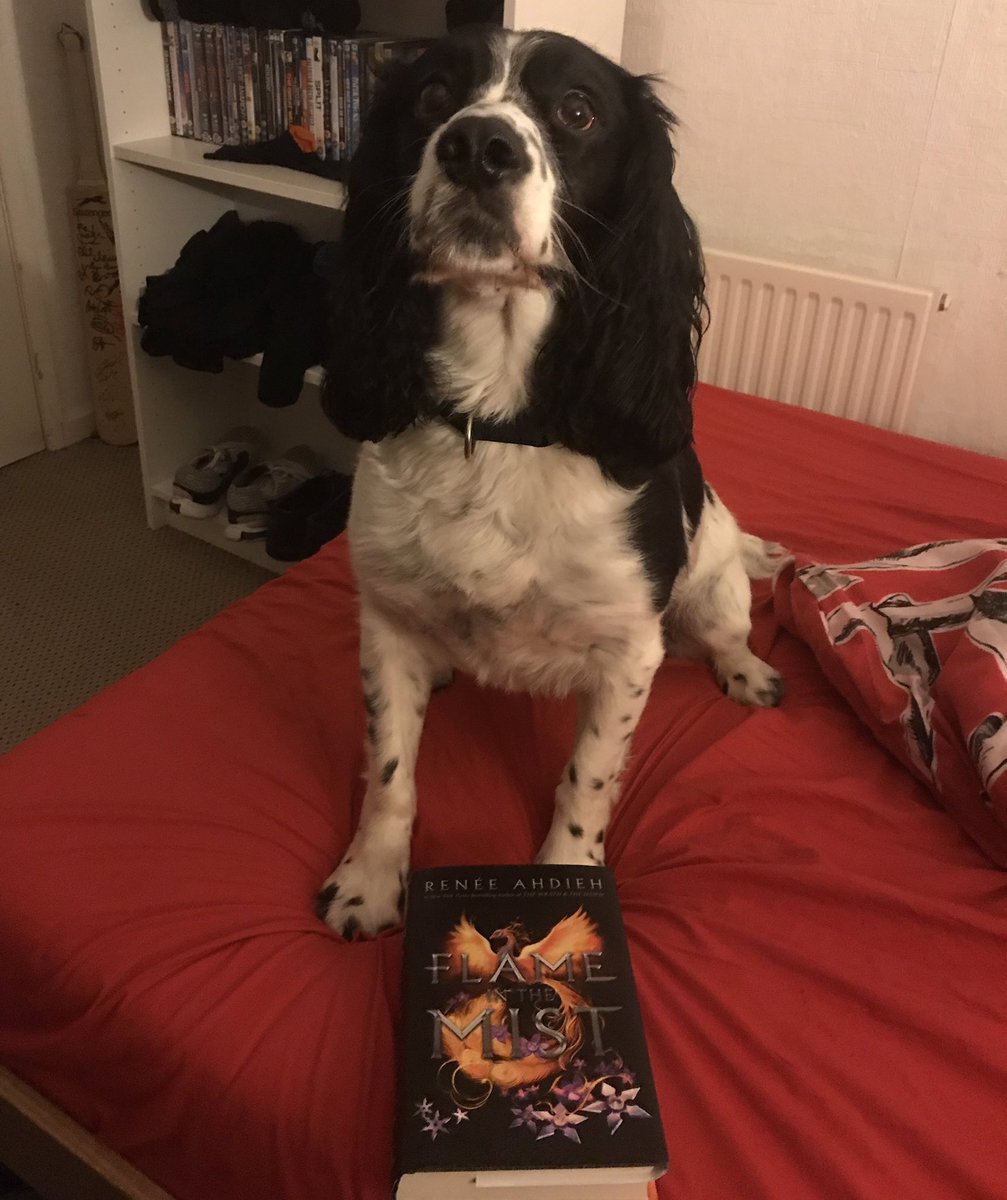 BooksWolf's tweet photo. Another 12 hour shift in the bag - just another 40 years to go...now to crack on with some reading while dog sitting!! @BBibliothon https://t.co/d9ZzU7f6QC