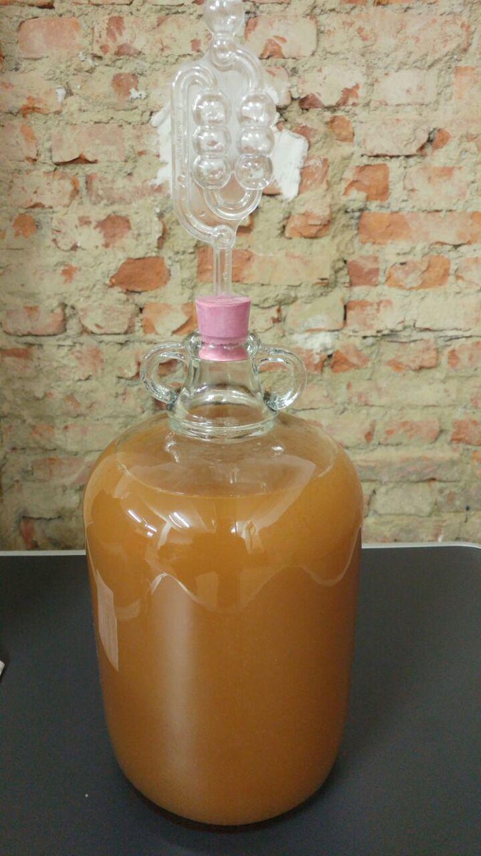 blamefinger's tweet image. Klarapfel (White Transparent) summer apples pressed earlier. Change in clarity during 1st fermentation. Racked today for 2nd fermentation.