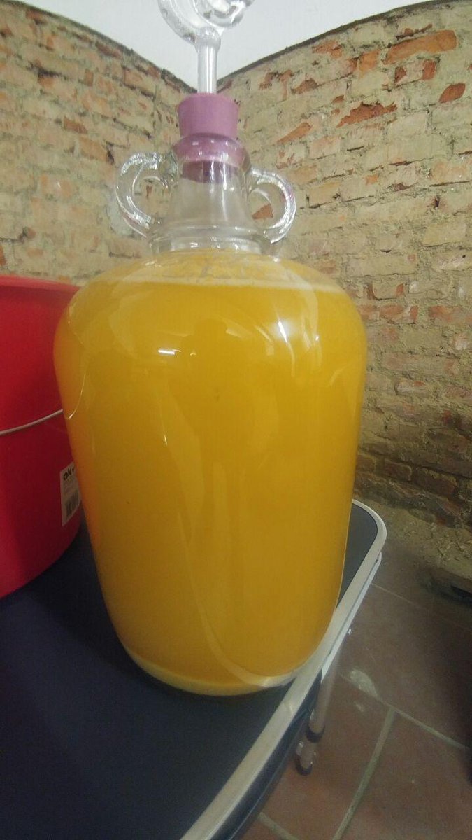 blamefinger's tweet image. Klarapfel (White Transparent) summer apples pressed earlier. Change in clarity during 1st fermentation. Racked today for 2nd fermentation.