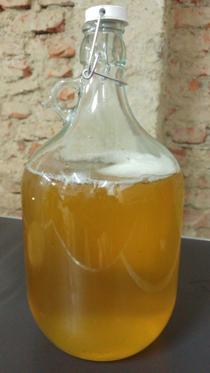 blamefinger's tweet image. Klarapfel (White Transparent) summer apples pressed earlier. Change in clarity during 1st fermentation. Racked today for 2nd fermentation.