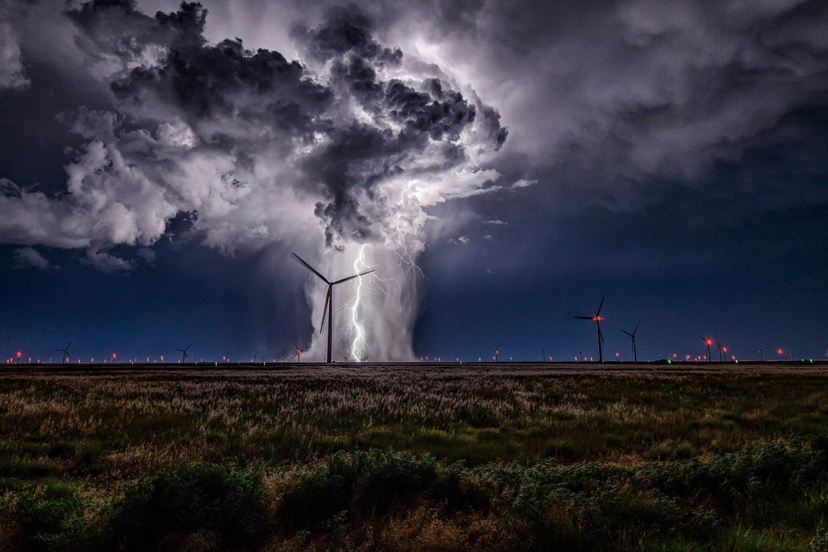 Mark Tarello tweet media