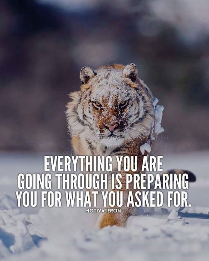 Catchica2K's tweet photo. I believe... and so as it is written...I claim it is done!!! https://t.co/fLNCWmdlmI