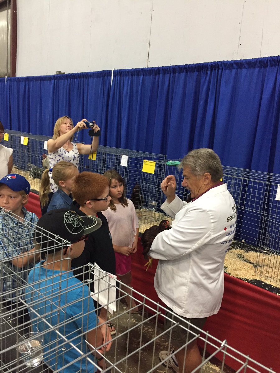 seelprojects's tweet photo. Getting an poultry education! Great judge taking his time explaining breed standards. #WesternerDays #CHB https://t.co/O3IqLmHzjn