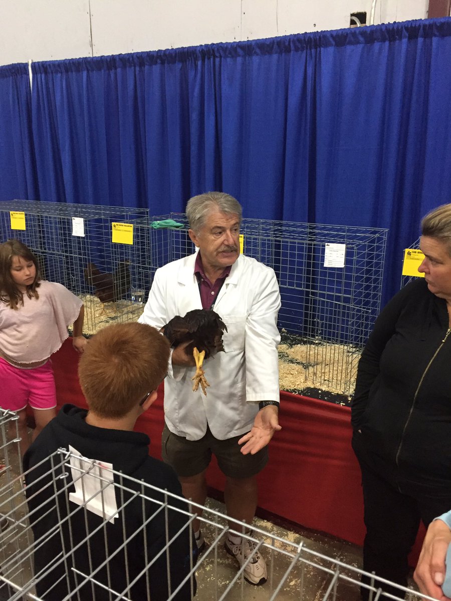 seelprojects's tweet photo. Getting an poultry education! Great judge taking his time explaining breed standards. #WesternerDays #CHB https://t.co/O3IqLmHzjn