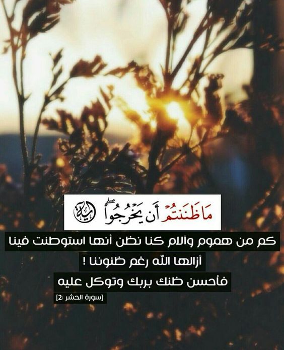 #دعاء #حديث #قرآن #دار_الاسلام