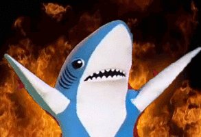 McFoodDude's tweet photo. You know I got my boi in the race tonight #FishRFriends https://t.co/JZOccJ0CcU
