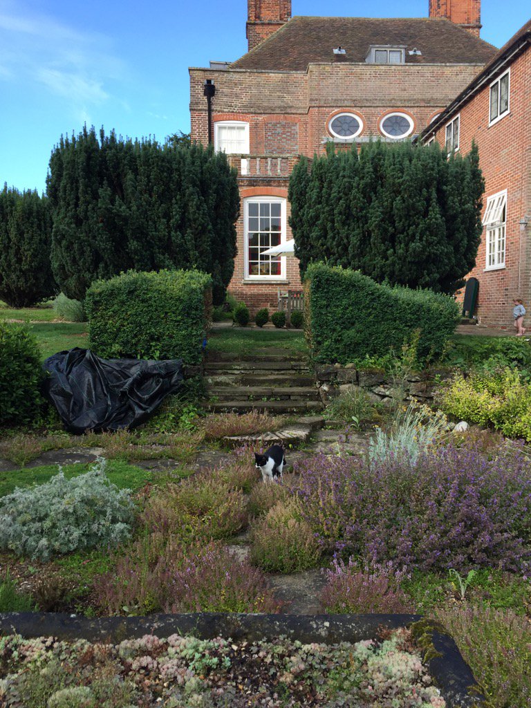 OwlettsNT's tweet photo. Out hedges have had some much needed trimming. The stairs are so much more open now. https://t.co/0prLX0JEQg