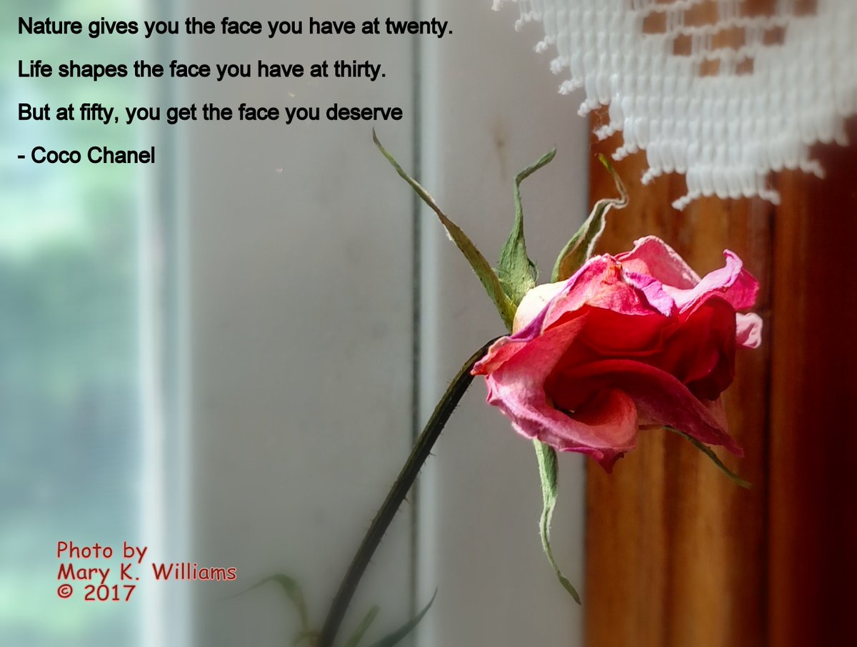TheSanitySearch's tweet photo. A Sunday meditation (in which I wrote CORRECT quote author. Oy!) #aging, #beautyinaging #properappropriationhelps https://t.co/C1XhFZOMBH