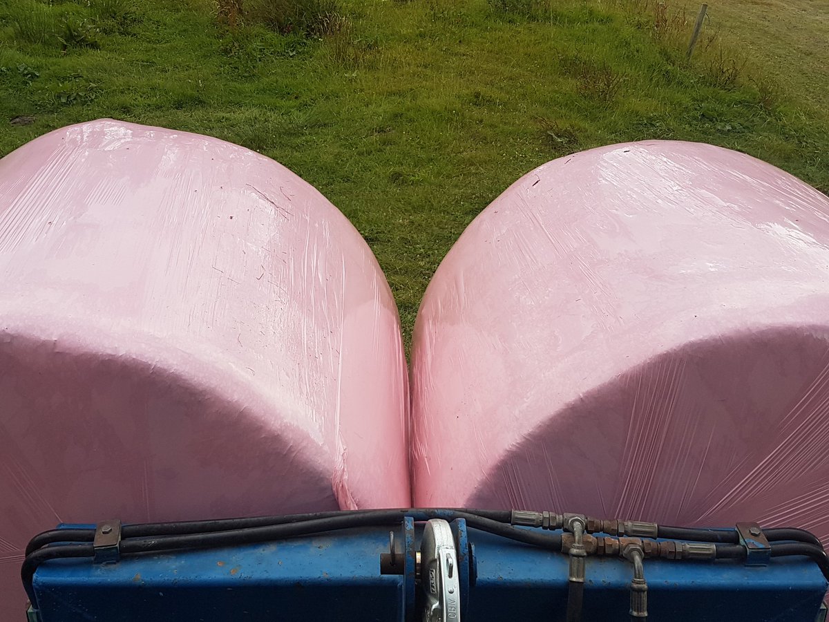 Peterhynes15's tweet photo. #wrapitpink this evening @CoOpSuperstores @cuttoclamp https://t.co/G7PneJeaie