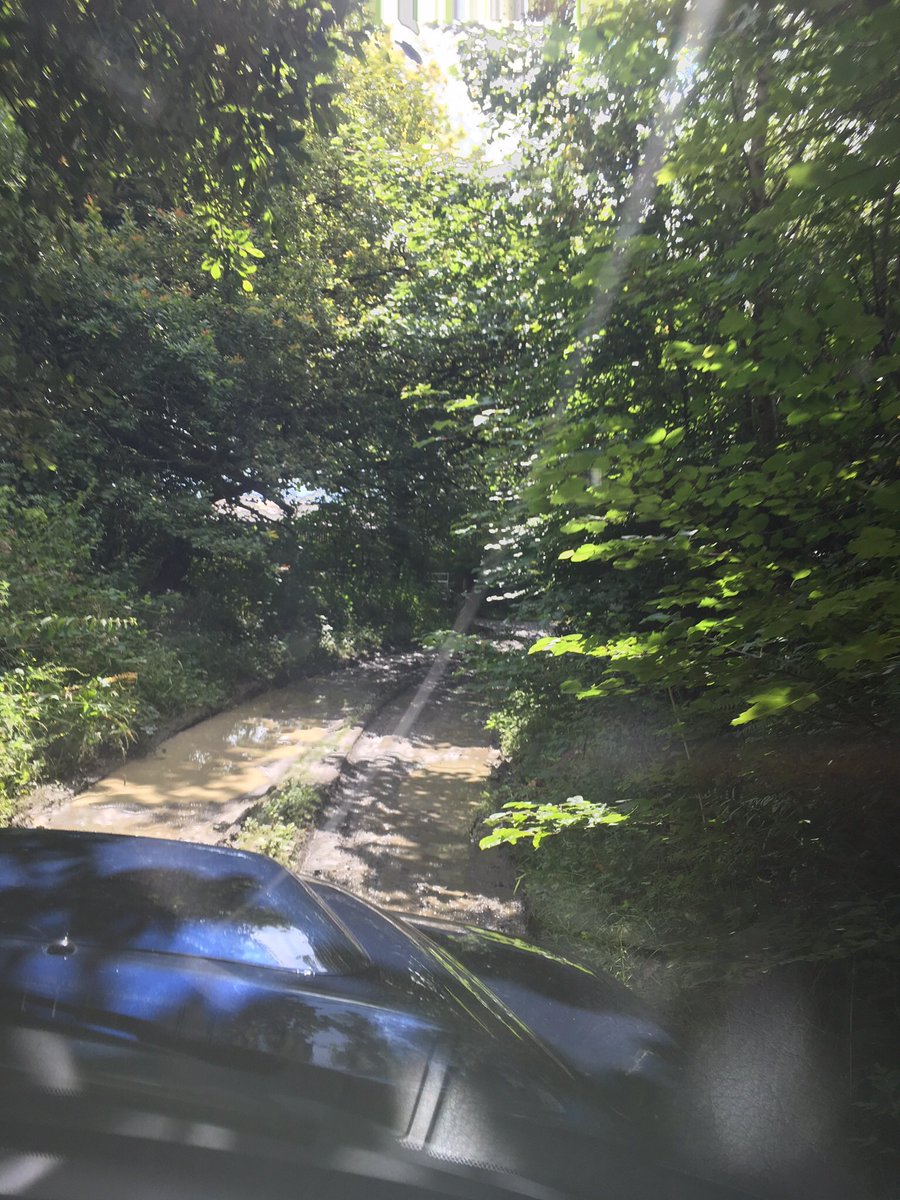 Davidrowe_1's tweet image. I've Been on a hoof trimming safari today, #Devons