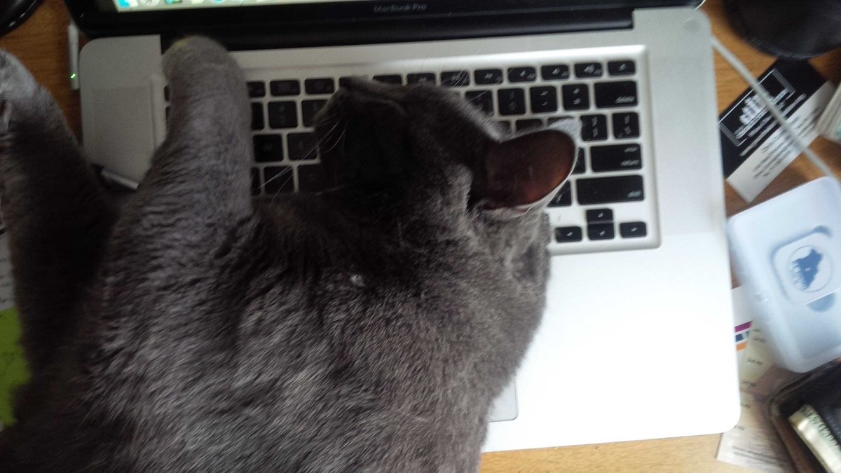 dknight44's tweet photo. Workload..drastically reduced.
Cool chill with my bud...10x increase.
(way to go, @ANeuteredLife.) https://t.co/cGaljVi7XI