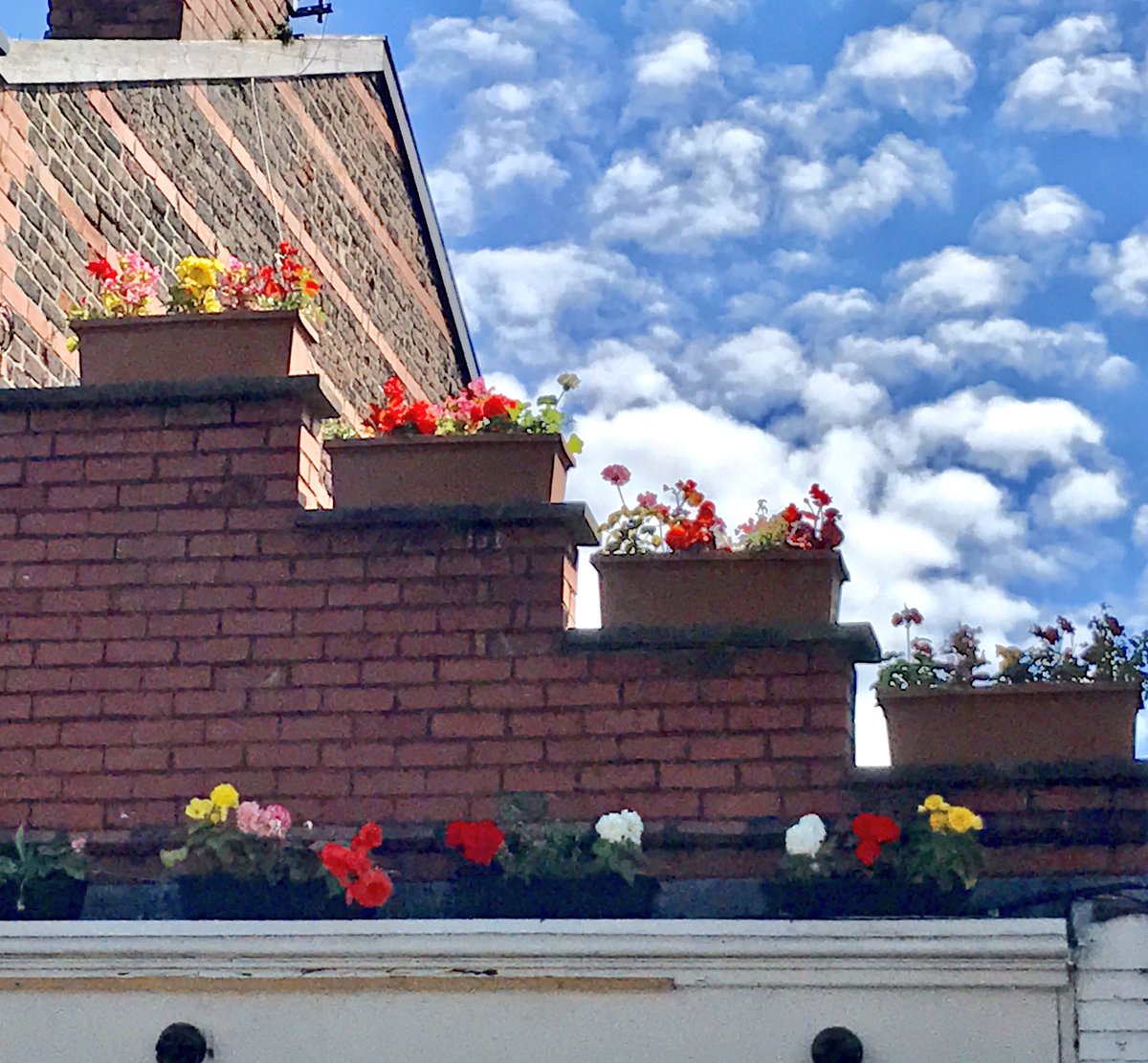 AltyinBloom's tweet photo. An excellent example from @LaFamigliaHale #Hale using a bit of imagination to beautify #business exterior #Altrincham https://t.co/QZtB4xUsfW