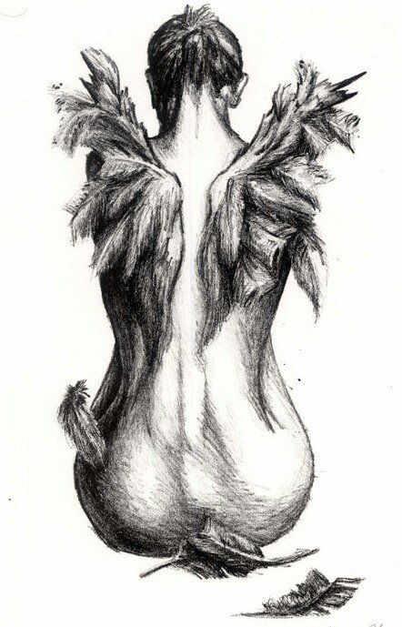 Hayley Wickens tweet media