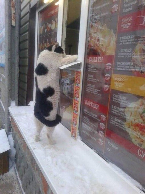 Cauquipotencia's tweet photo. *voz de Antonio banderas*
Ponme lo de ciempre, muñeca https://t.co/DR0YqdeTy8