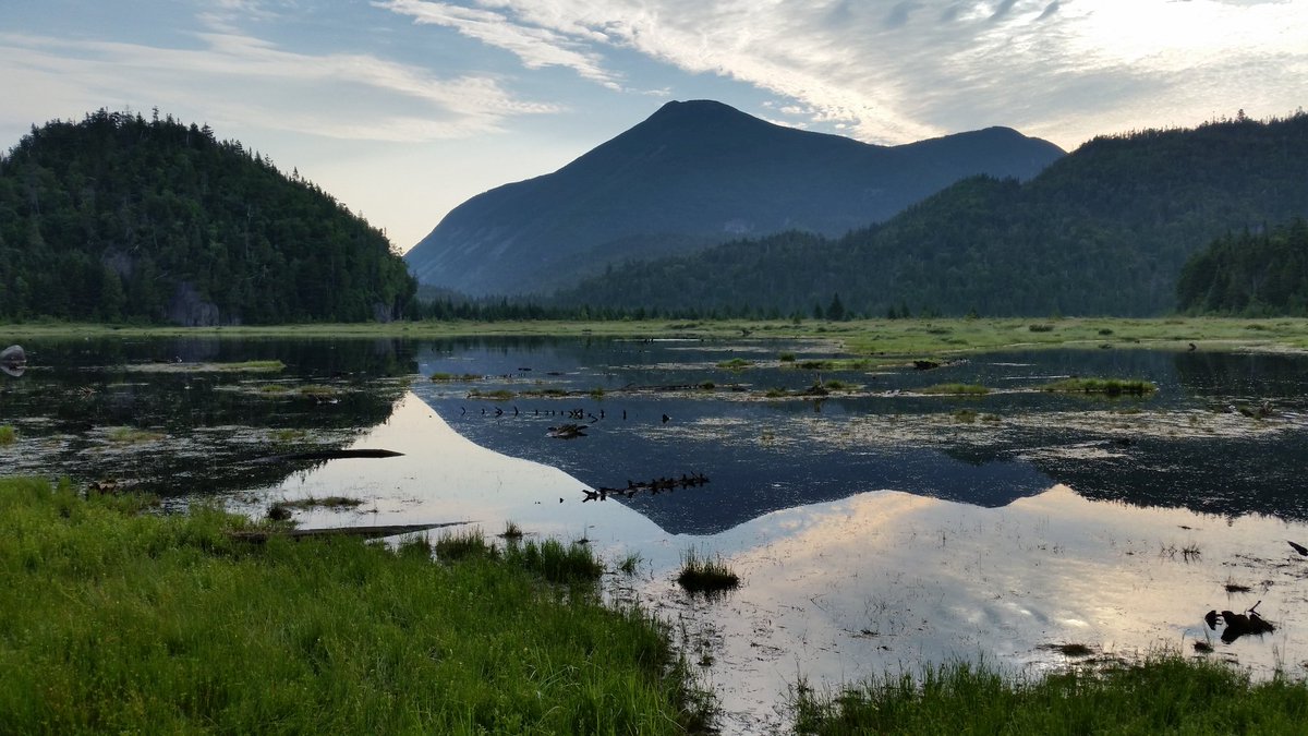 Wildeman87's tweet photo. @EASTERNMNTN Hit Cliff/Redfield yesterday from the flowed lands. Looking out @ Mount Colden.  #aspiring46er #33 #34 #GoEast #Adirondacks https://t.co/yCQNlZiBJu