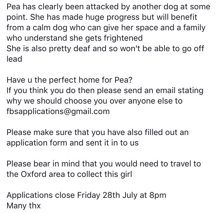FB_Saviours's tweet photo. Sweet pea is available for #adoption! Please read info as she has v.specific needs. Apps close 28/7 #adoptdontshop #frenchbulldog 🐶🐾💕 https://t.co/LpaksqUZO8