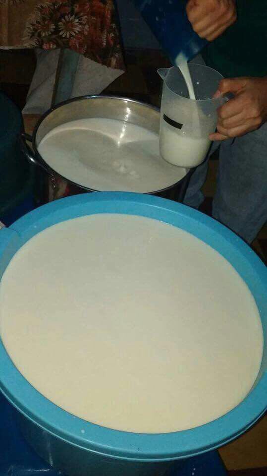 JuanOrlandoH's tweet photo. La familia Leiva Caballero ha hecho historia por 60 años con su famosa leche y cuajada que son una tradición en la mesa de los #Patepluma https://t.co/BOKZ7fgCXC