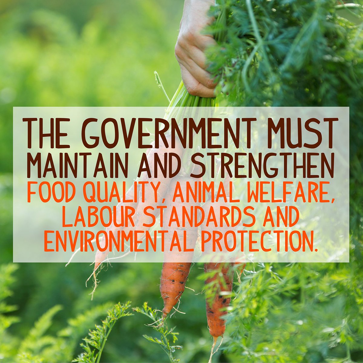 We are demanding that the Government maintain and exceed food, farming and environmental standards post-Brexit! ow.ly/mmUi30dBV2y