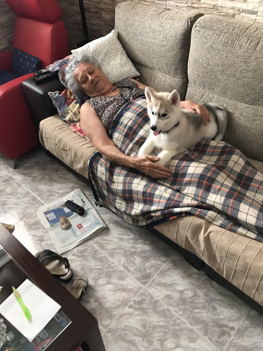 Nuevo miembro de la familia...balto❤️