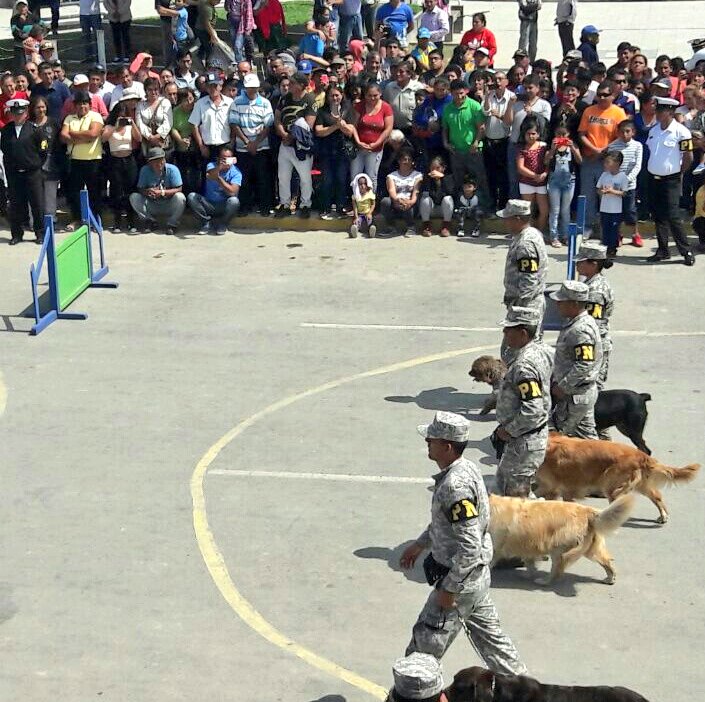 naval_peru's tweet photo. #UNITAS2017 Demostración de la Unidad Canina de la Policía Naval en #Huarmey https://t.co/RStZy7fWrl