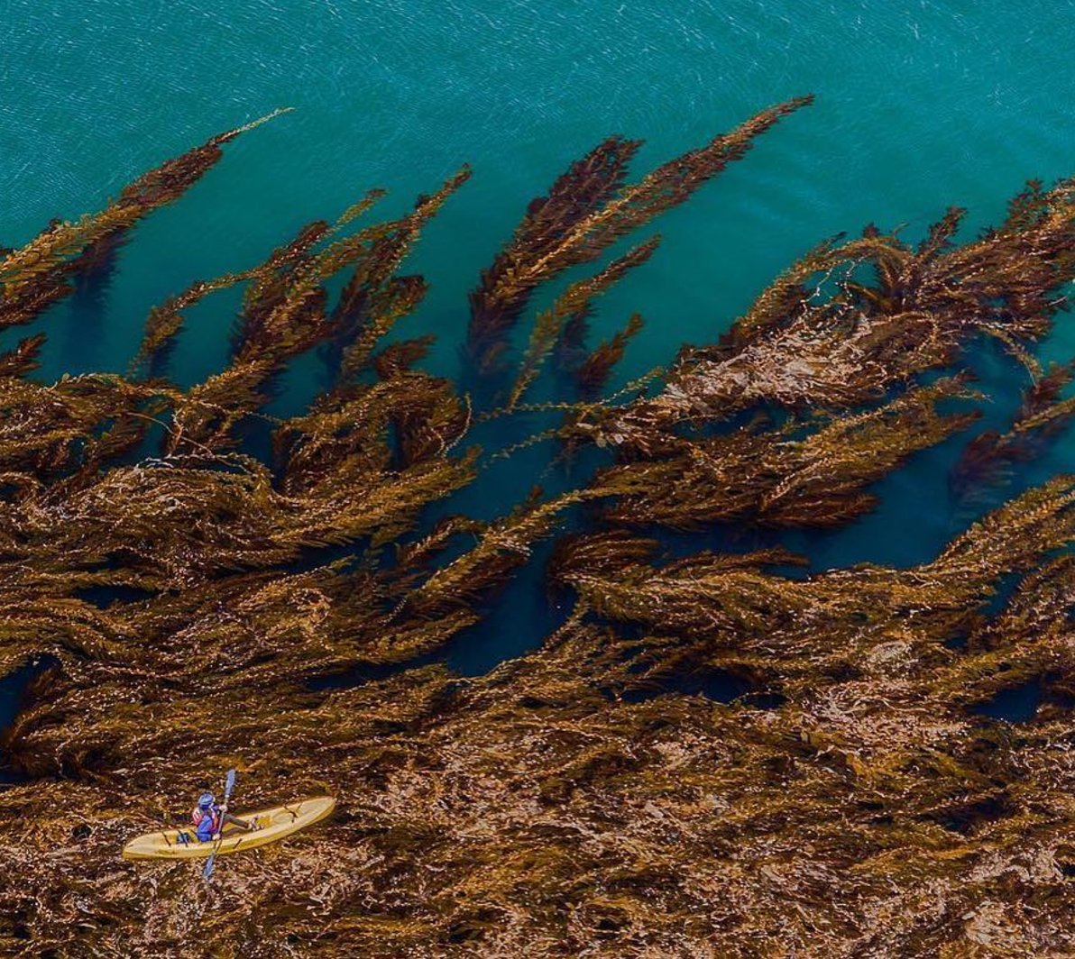 Now that it's officially summer, there's tons to do in #SantaBarbara, like kayaking. (Pic via: Visit Santa Barbara)