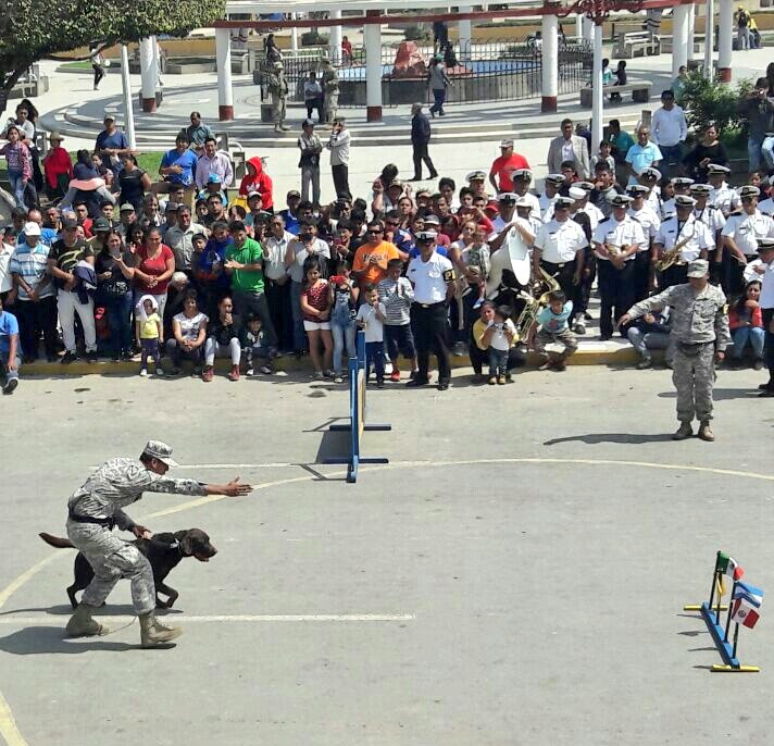 naval_peru's tweet photo. #UNITAS2017 Demostración de la Unidad Canina de la Policía Naval en #Huarmey https://t.co/RStZy7fWrl