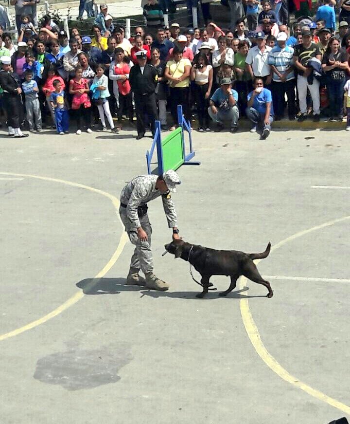 naval_peru's tweet photo. #UNITAS2017 Demostración de la Unidad Canina de la Policía Naval en #Huarmey https://t.co/RStZy7fWrl