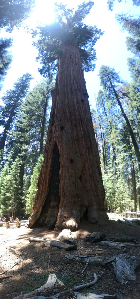 <a href="/tommyroth30/">Thomas Andrew Rothschild</a>