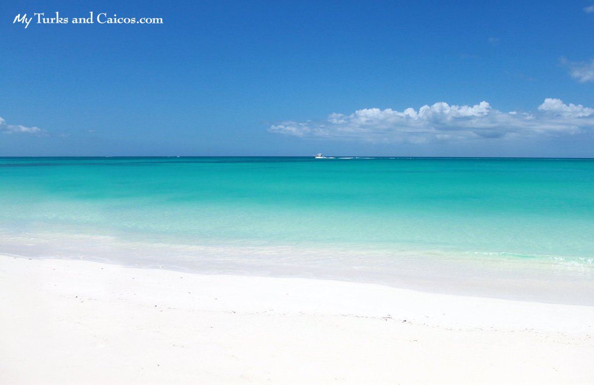 Your own private island in Turks and Caicos. Iguana Island -